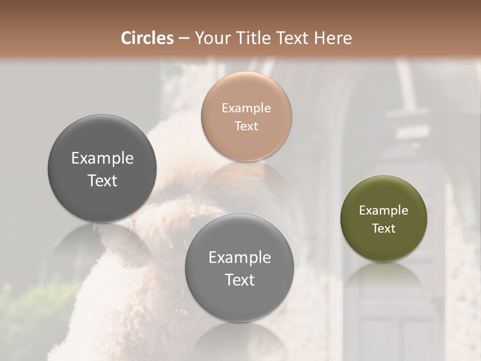 Bird Gift Postage PowerPoint Template