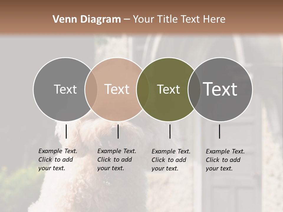 Bird Gift Postage PowerPoint Template