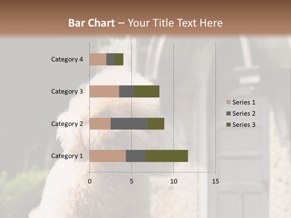Bird Gift Postage PowerPoint Template