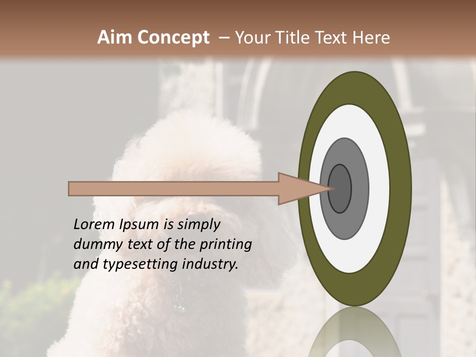 Bird Gift Postage PowerPoint Template