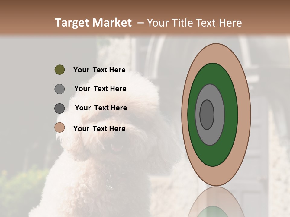 Bird Gift Postage PowerPoint Template