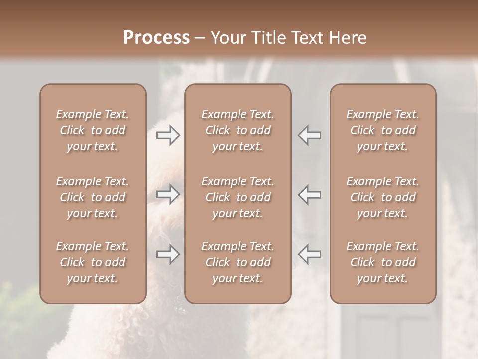 Bird Gift Postage PowerPoint Template