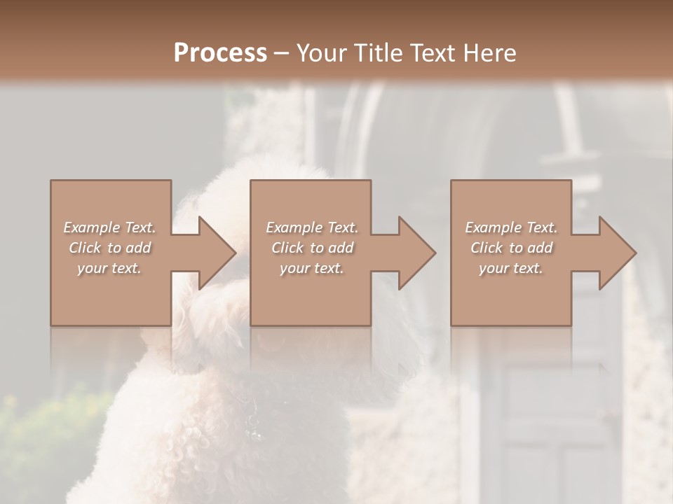 Bird Gift Postage PowerPoint Template