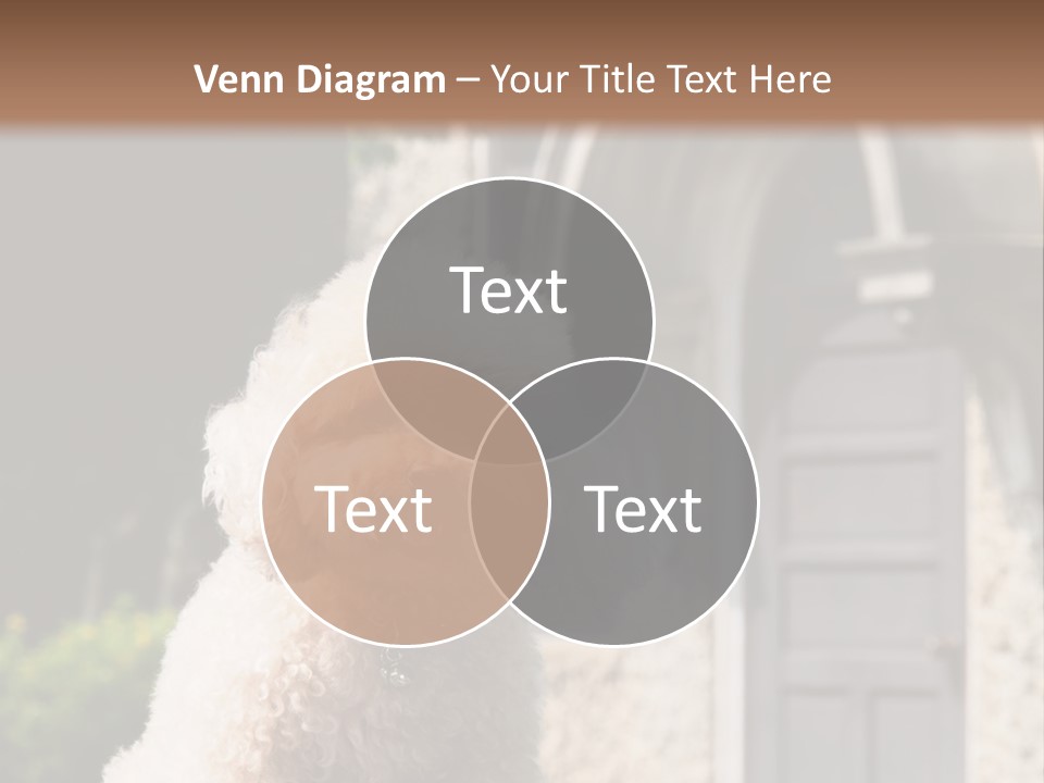 Bird Gift Postage PowerPoint Template