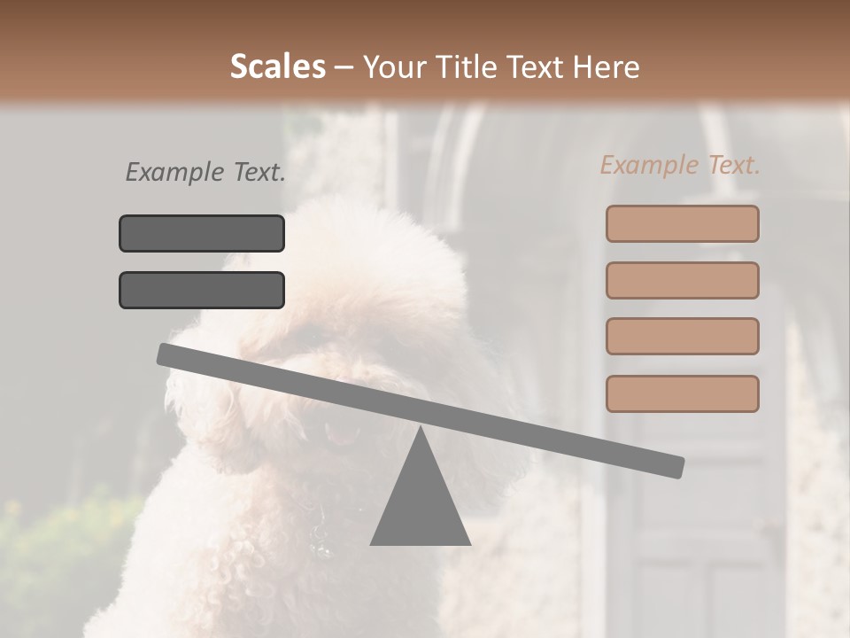 Bird Gift Postage PowerPoint Template
