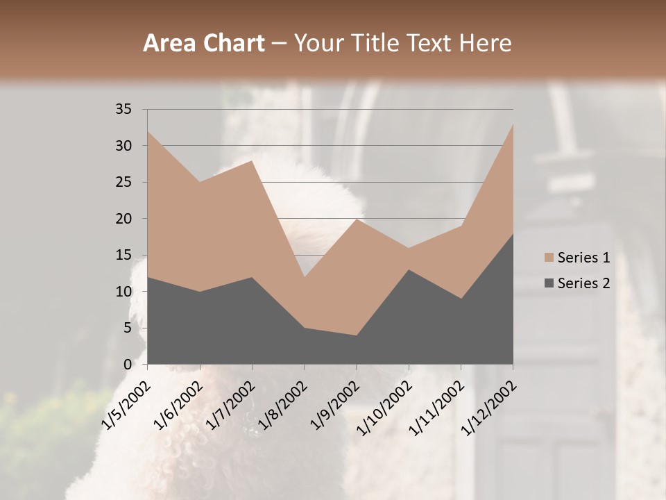 Bird Gift Postage PowerPoint Template