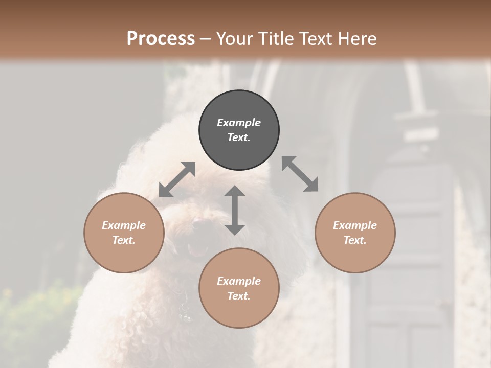 Bird Gift Postage PowerPoint Template