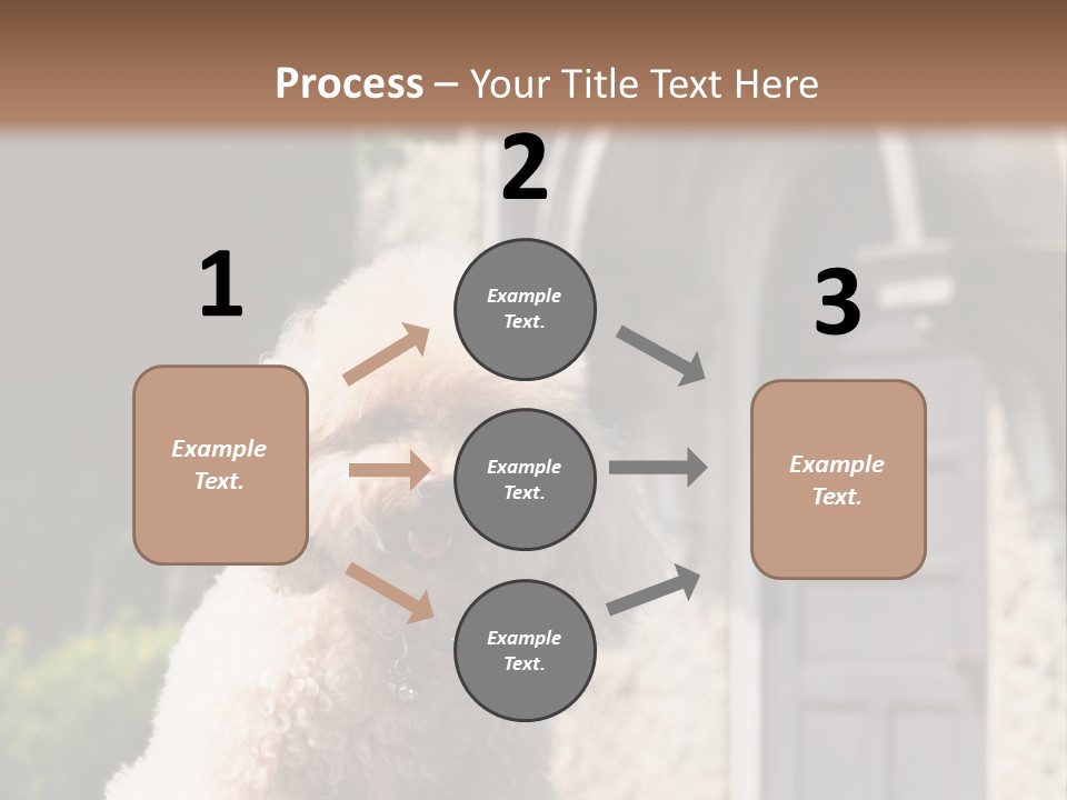 Bird Gift Postage PowerPoint Template