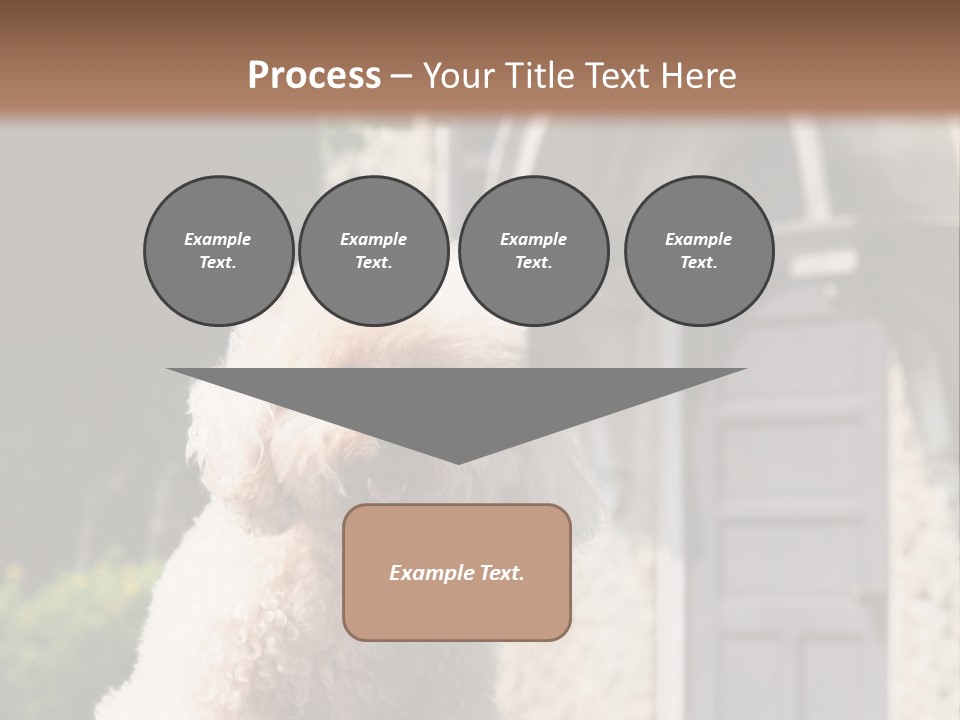 Bird Gift Postage PowerPoint Template