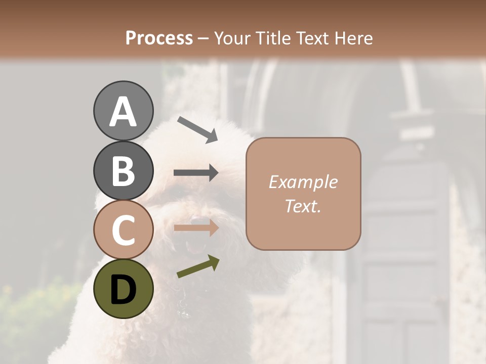 Bird Gift Postage PowerPoint Template