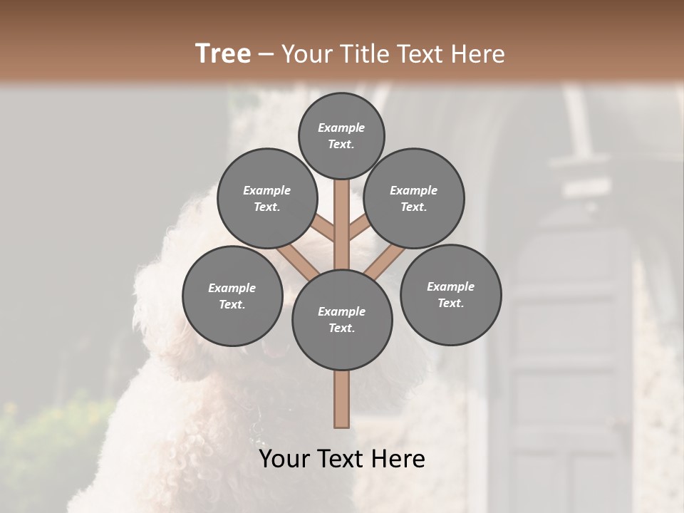 Bird Gift Postage PowerPoint Template