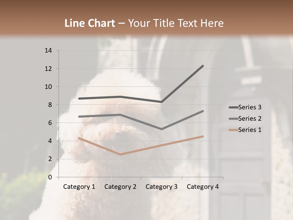 Bird Gift Postage PowerPoint Template