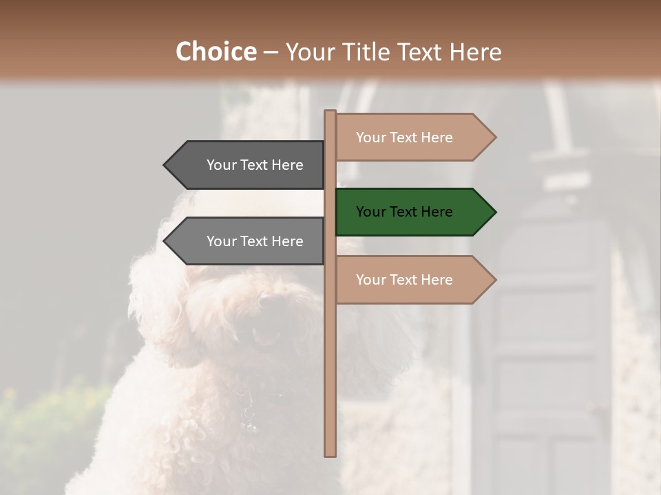 Bird Gift Postage PowerPoint Template