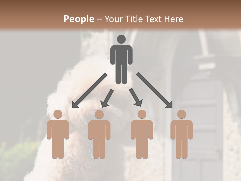 Bird Gift Postage PowerPoint Template