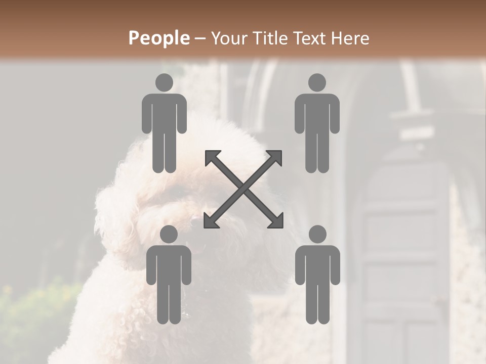 Bird Gift Postage PowerPoint Template