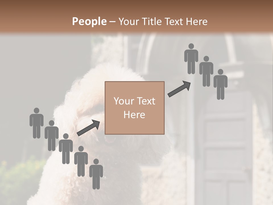 Bird Gift Postage PowerPoint Template