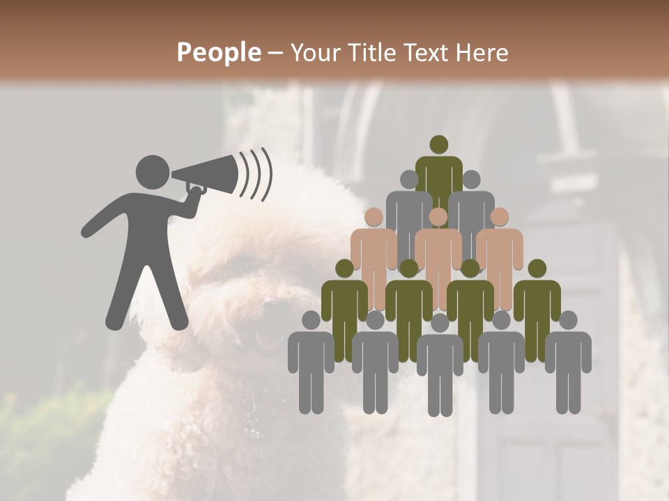 Bird Gift Postage PowerPoint Template