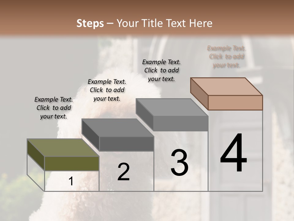 Bird Gift Postage PowerPoint Template