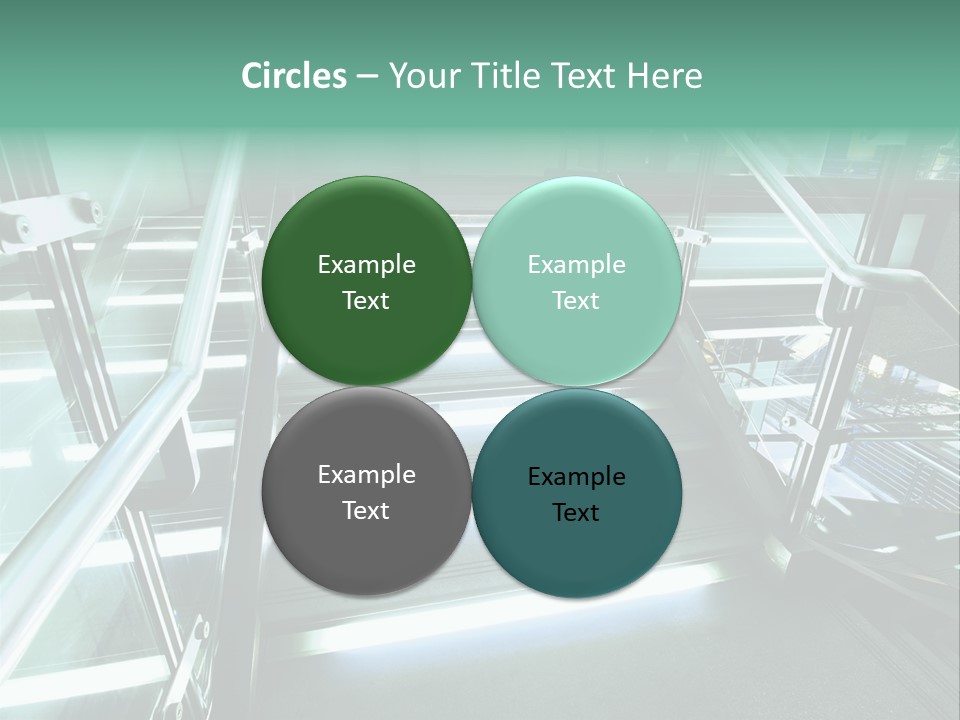 Flag Bird Pink PowerPoint Template