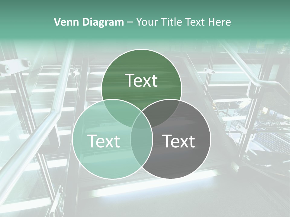 Flag Bird Pink PowerPoint Template