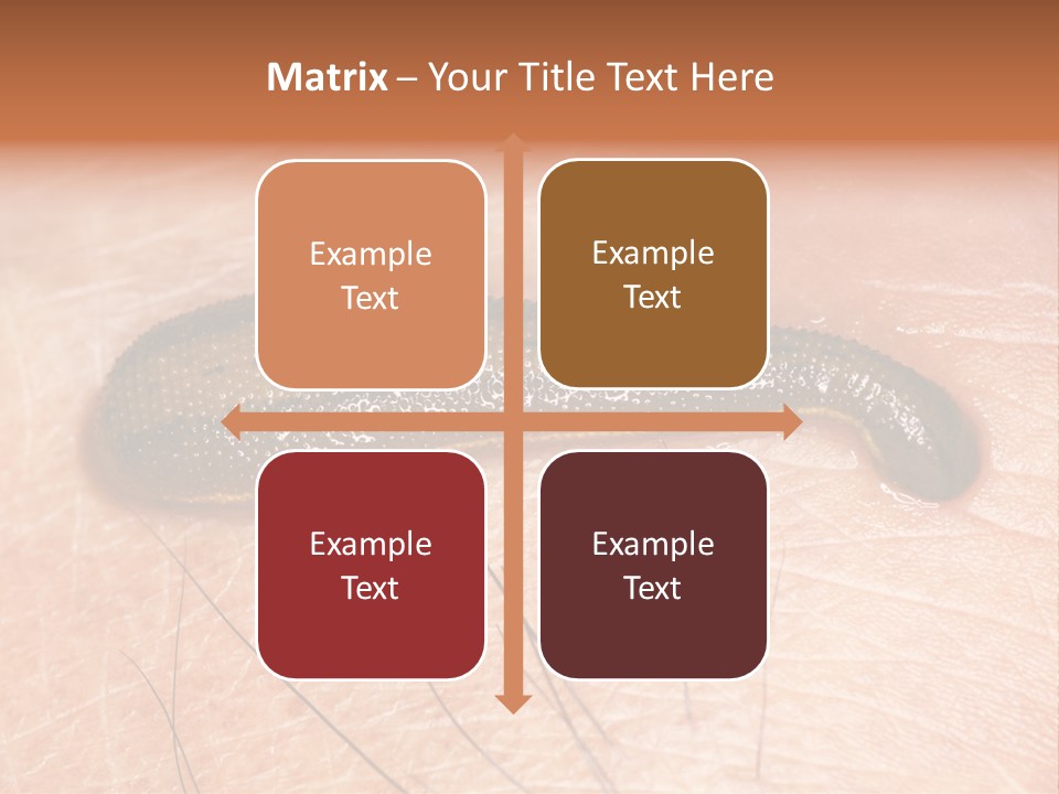 Shape Stamp Banner PowerPoint Template