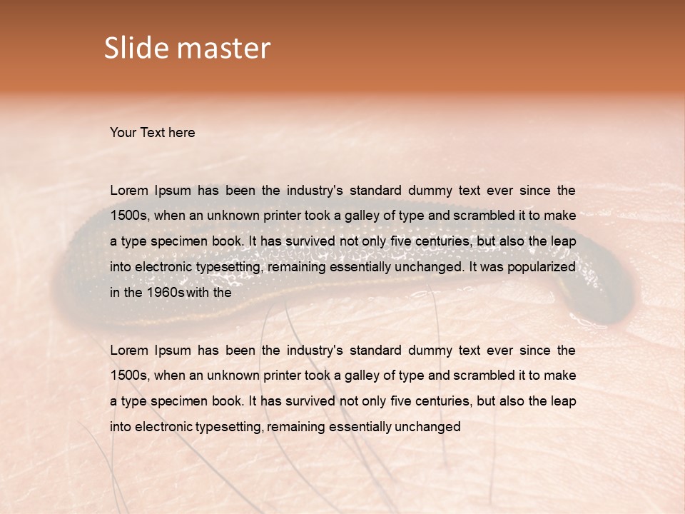 Shape Stamp Banner PowerPoint Template