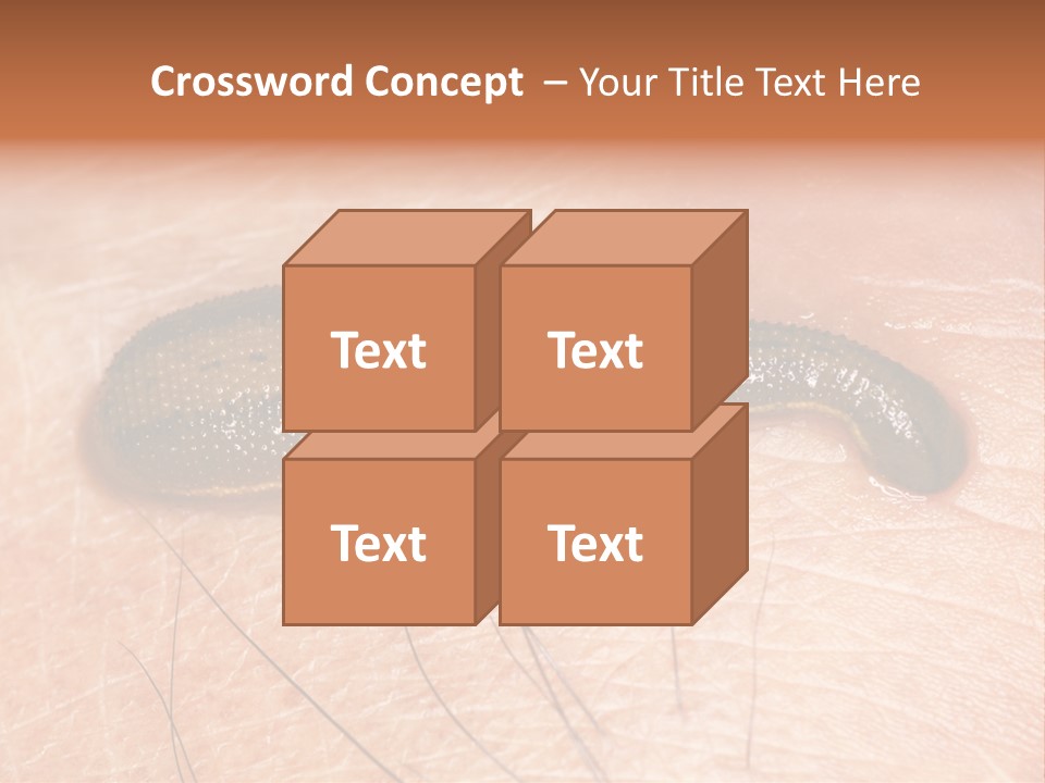 Shape Stamp Banner PowerPoint Template