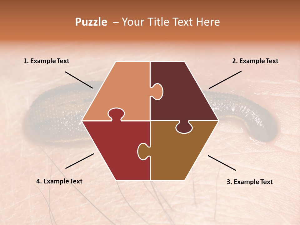 Shape Stamp Banner PowerPoint Template