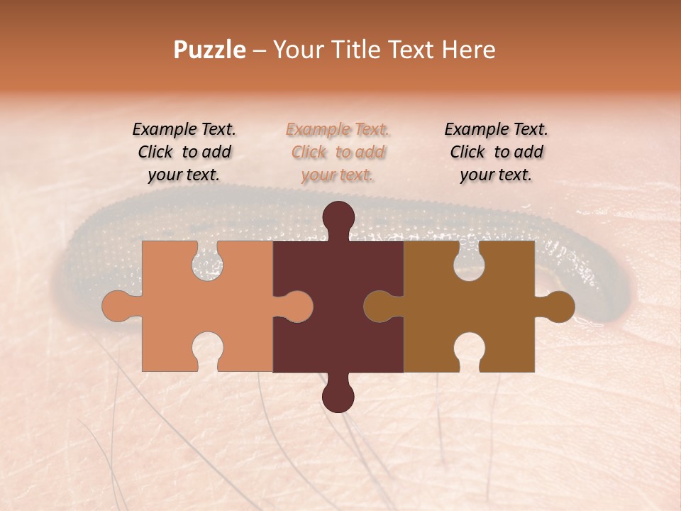 Shape Stamp Banner PowerPoint Template