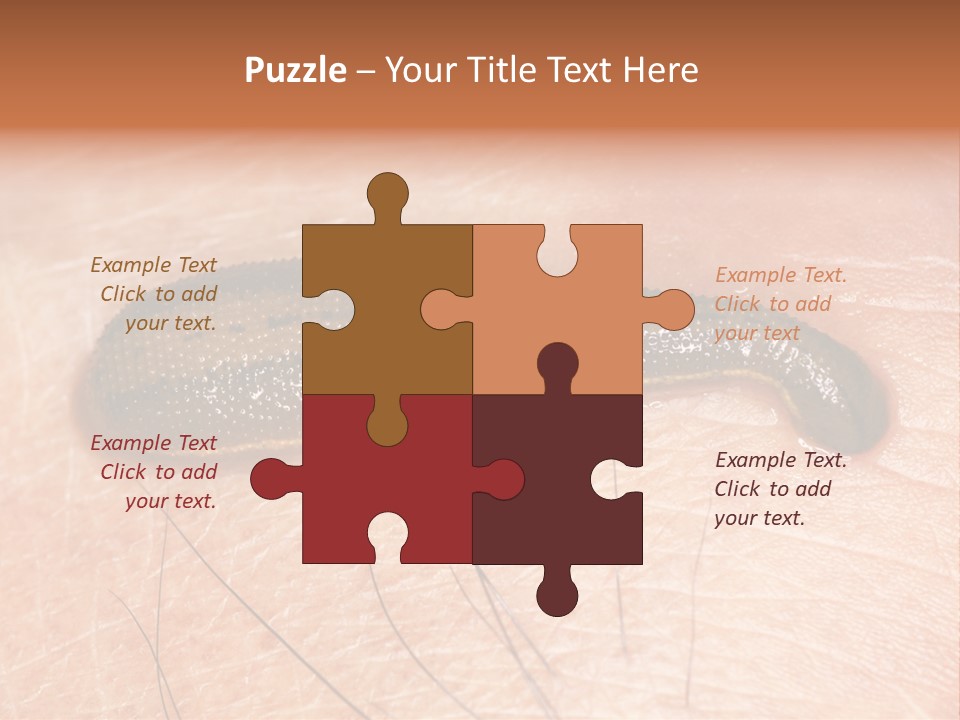 Shape Stamp Banner PowerPoint Template