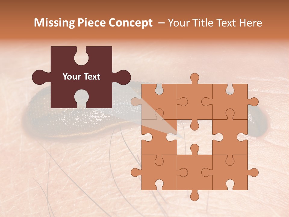 Shape Stamp Banner PowerPoint Template