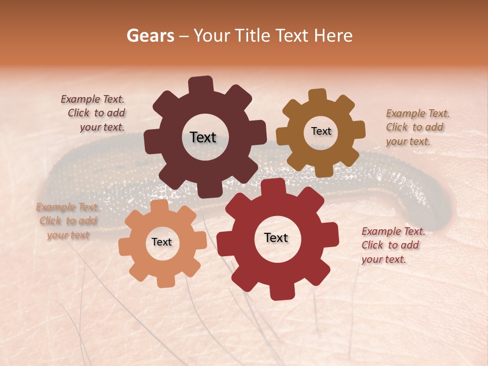 Shape Stamp Banner PowerPoint Template