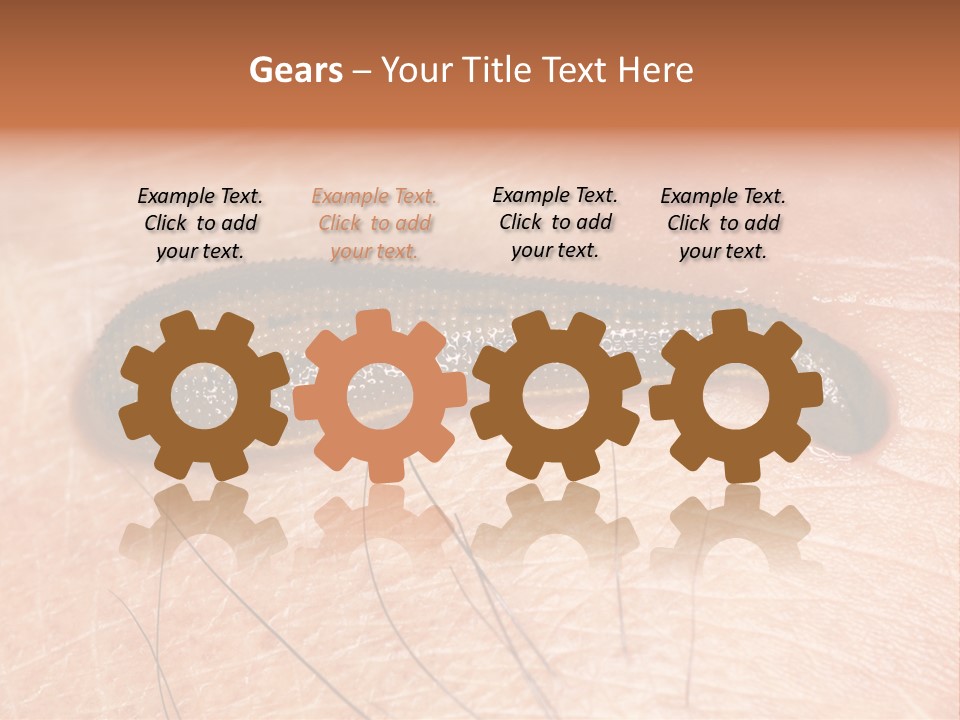 Shape Stamp Banner PowerPoint Template