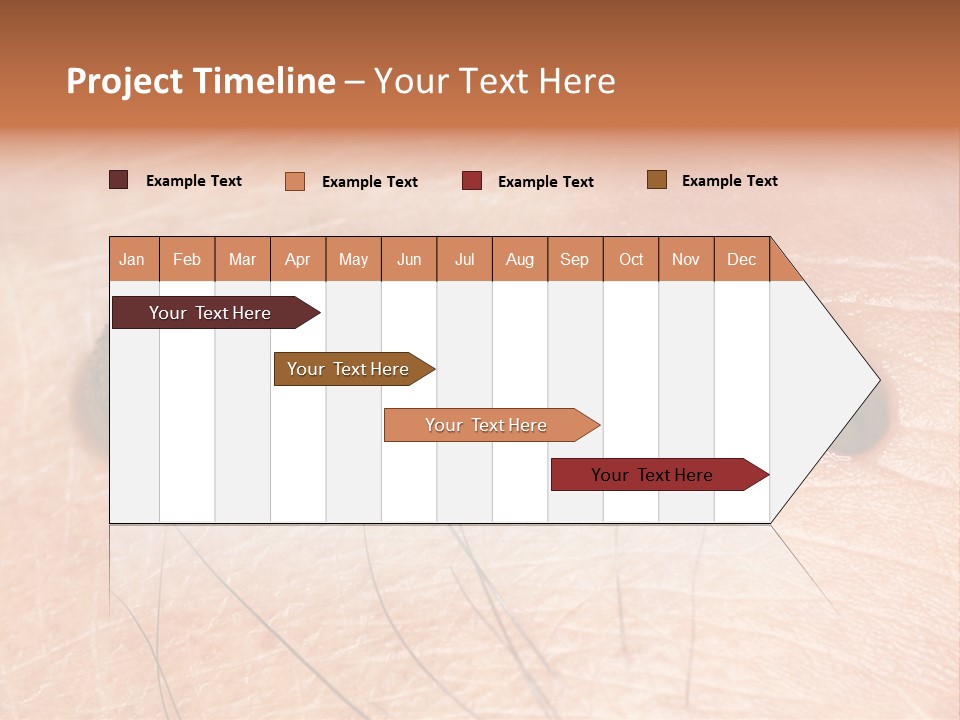 Shape Stamp Banner PowerPoint Template