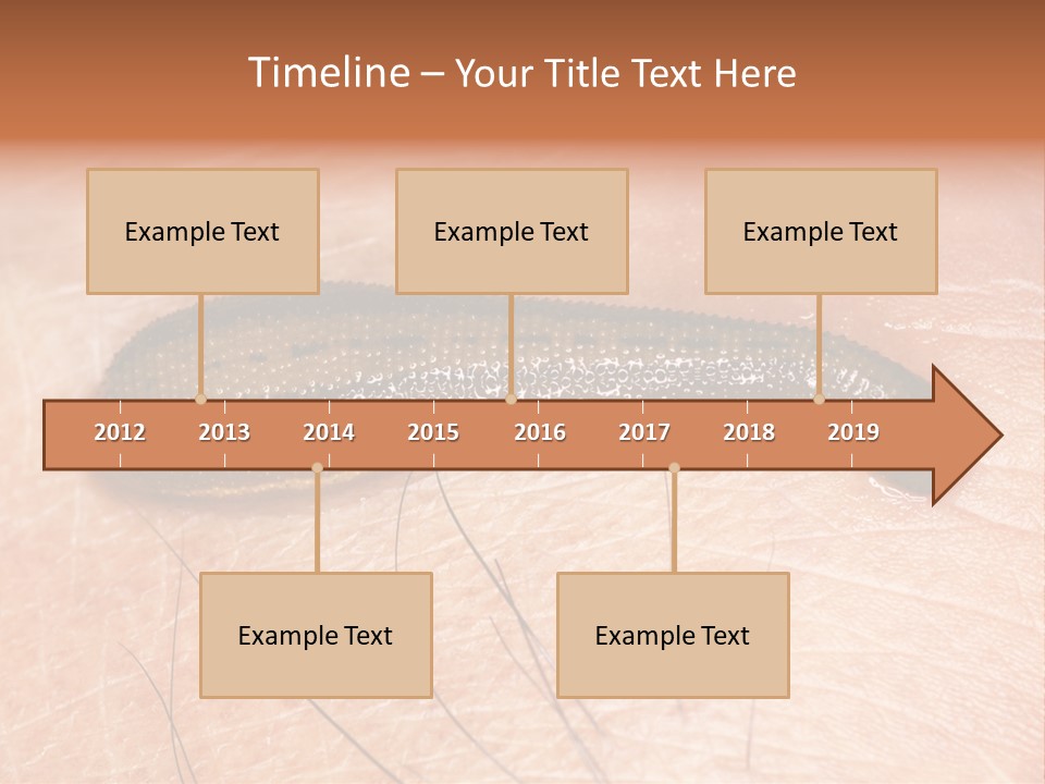 Shape Stamp Banner PowerPoint Template