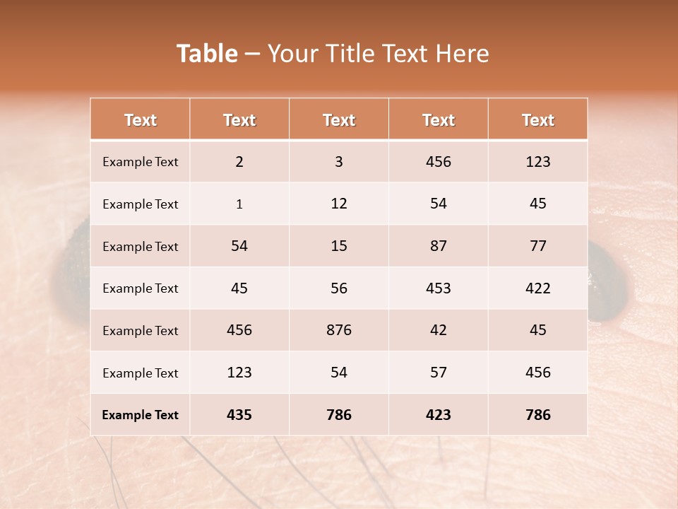 Shape Stamp Banner PowerPoint Template