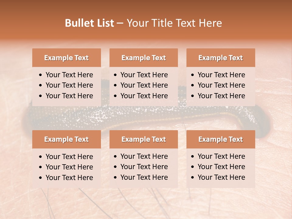 Shape Stamp Banner PowerPoint Template