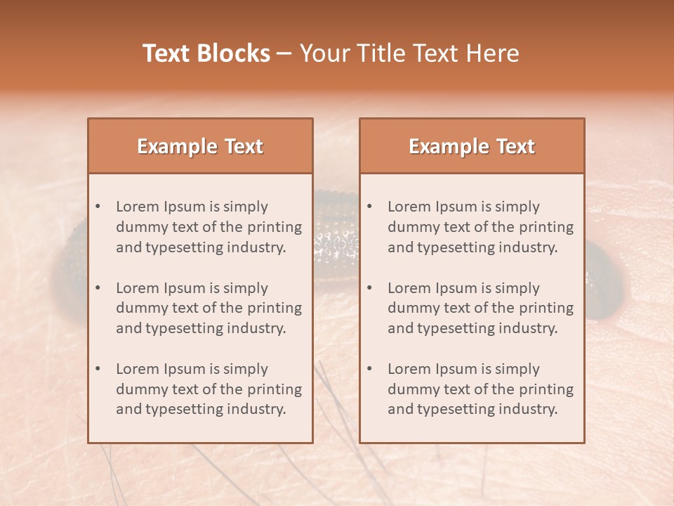 Shape Stamp Banner PowerPoint Template