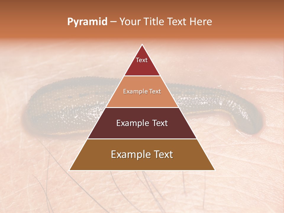 Shape Stamp Banner PowerPoint Template