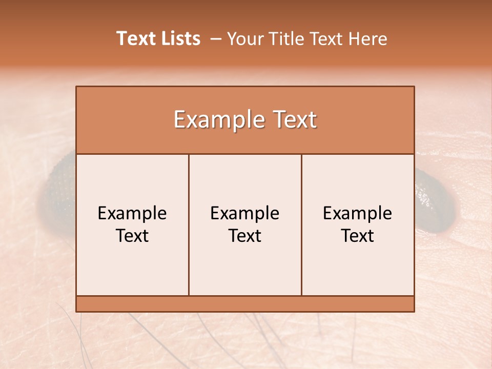 Shape Stamp Banner PowerPoint Template