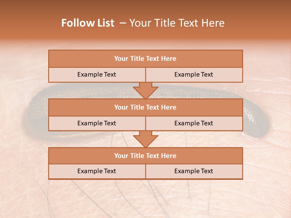 Shape Stamp Banner PowerPoint Template