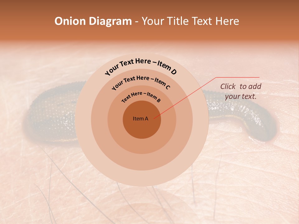 Shape Stamp Banner PowerPoint Template