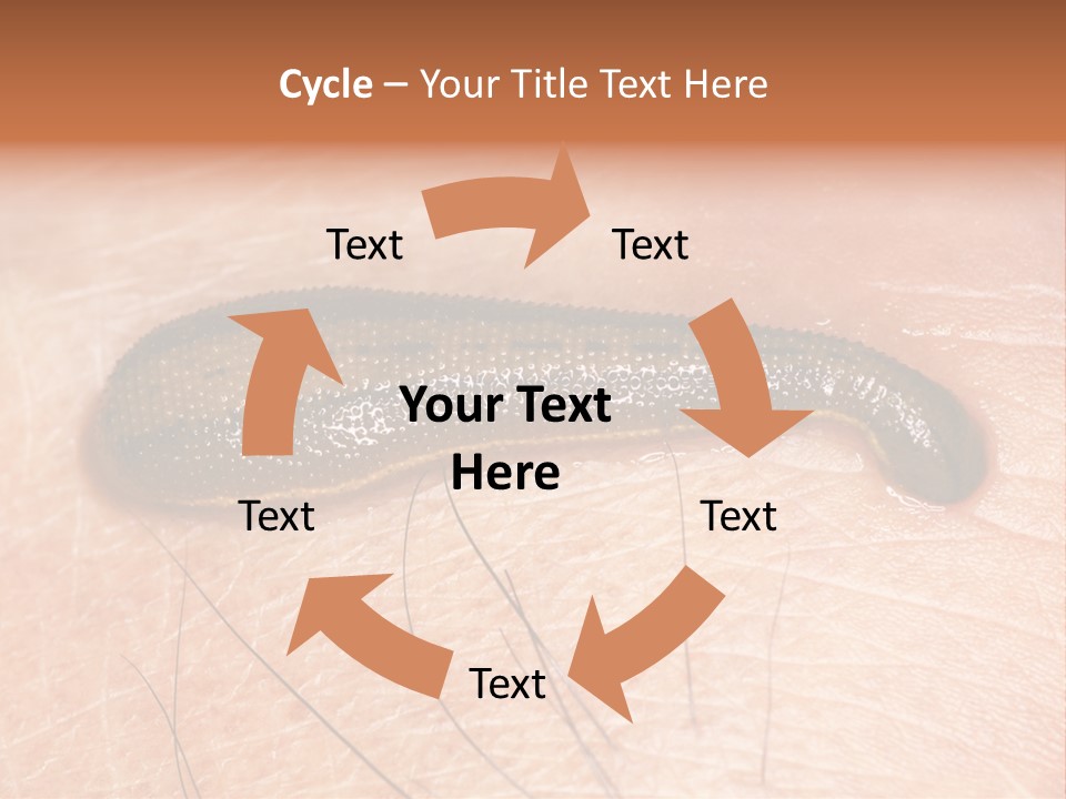 Shape Stamp Banner PowerPoint Template