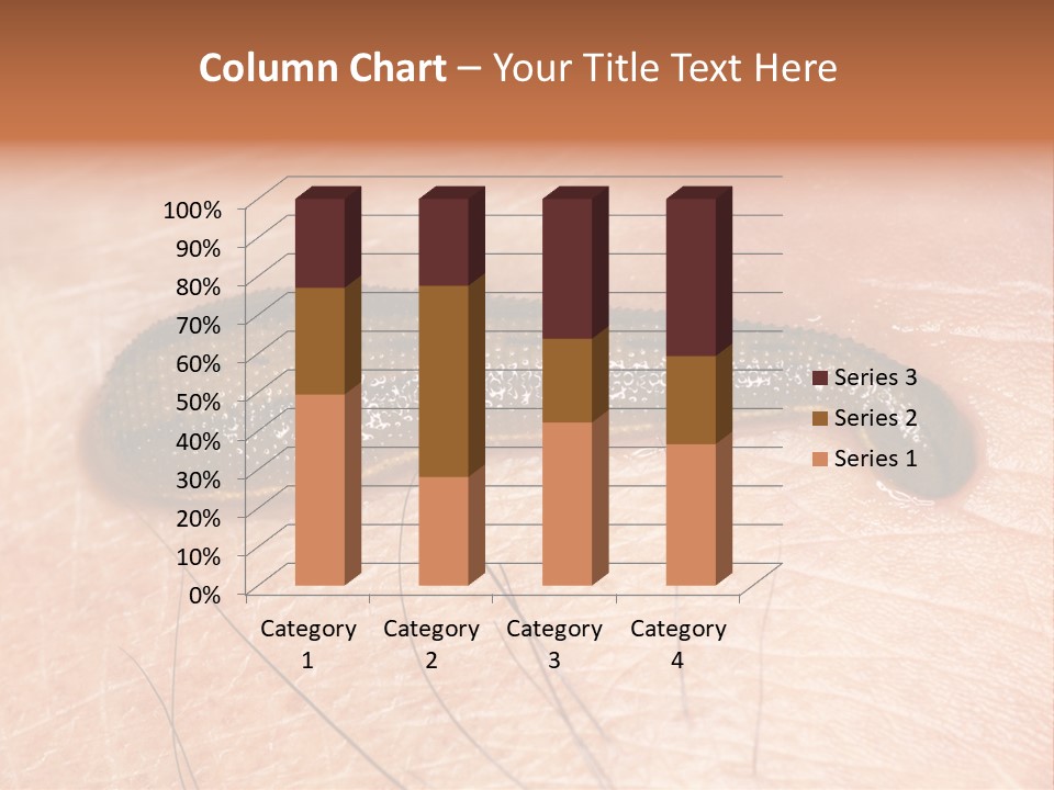 Shape Stamp Banner PowerPoint Template