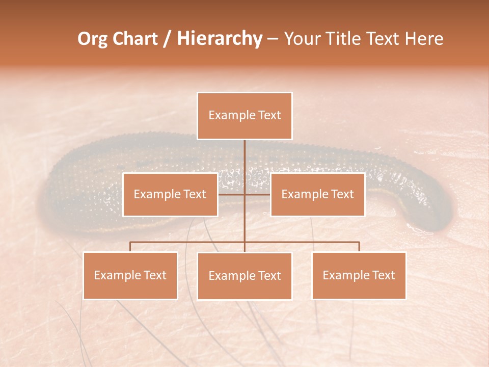 Shape Stamp Banner PowerPoint Template