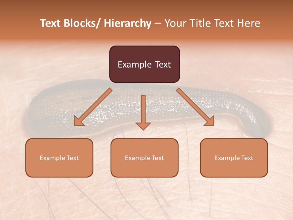 Shape Stamp Banner PowerPoint Template