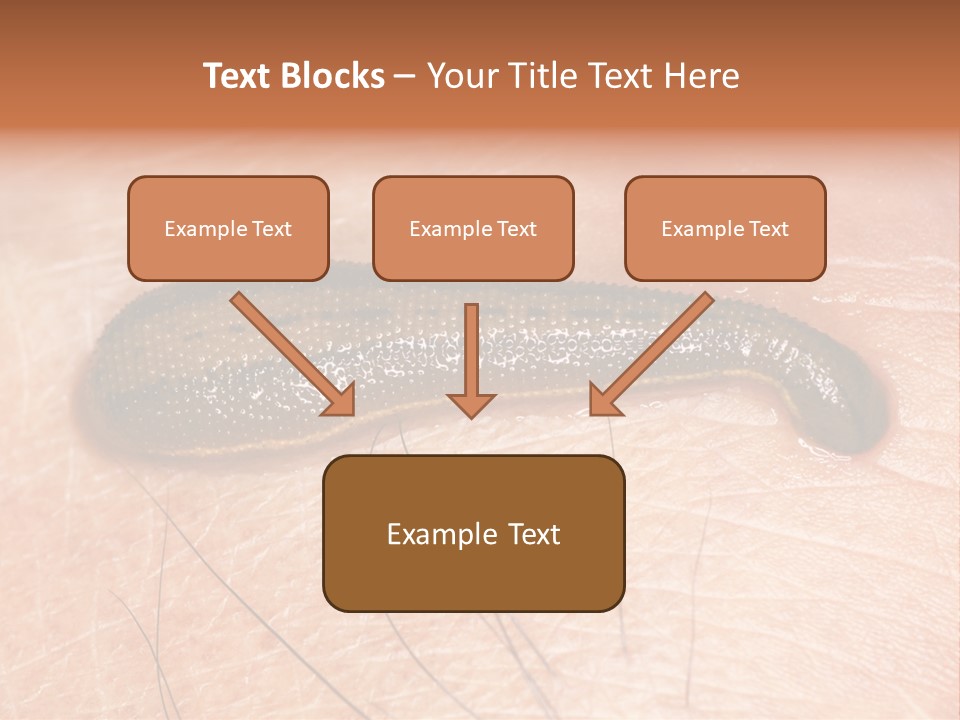 Shape Stamp Banner PowerPoint Template