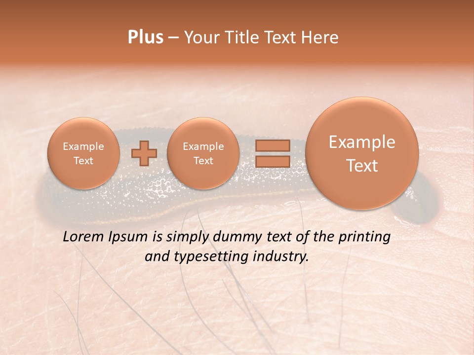 Shape Stamp Banner PowerPoint Template