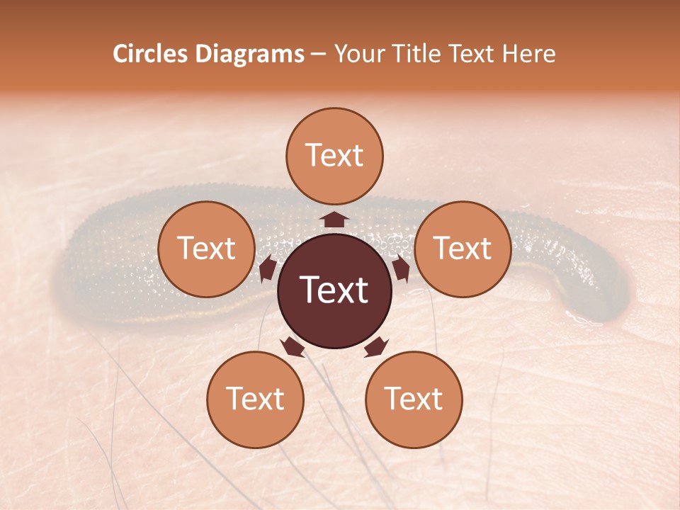 Shape Stamp Banner PowerPoint Template