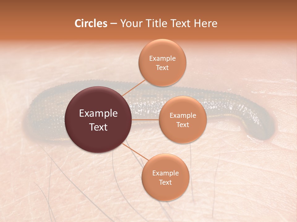 Shape Stamp Banner PowerPoint Template